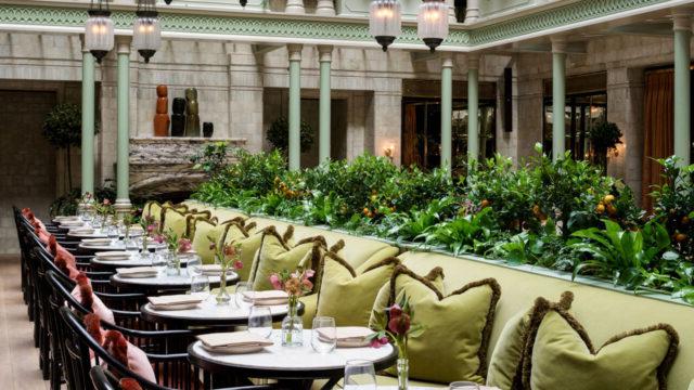 A hotel dining room featuring a row of dining tables in the center of the room alongside a planter growing oranges